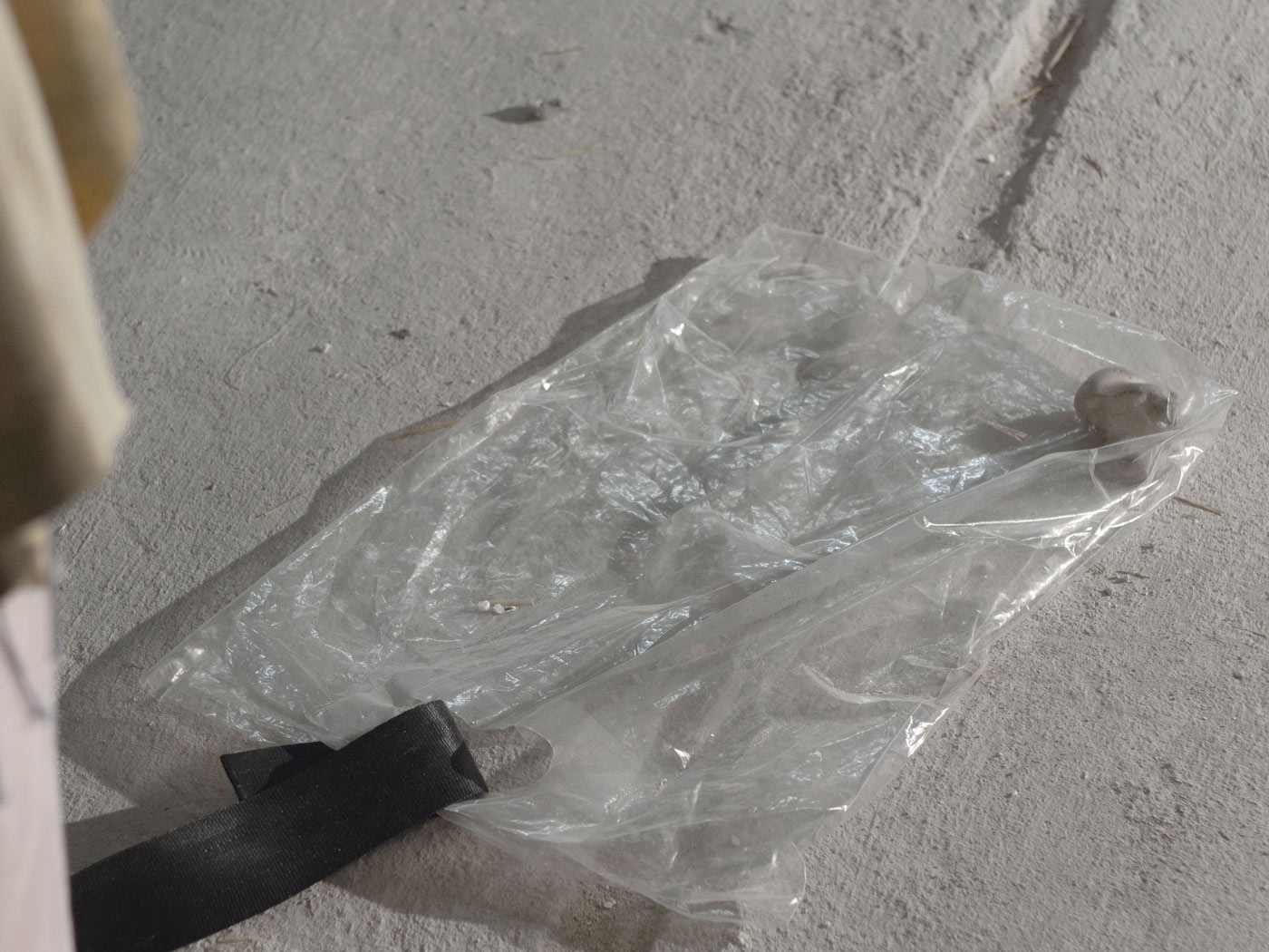 A transparent plastic bag held by a folded seatbelt. Inside the bag is a stone that is supposed to represent the asteroid 433 Eros.