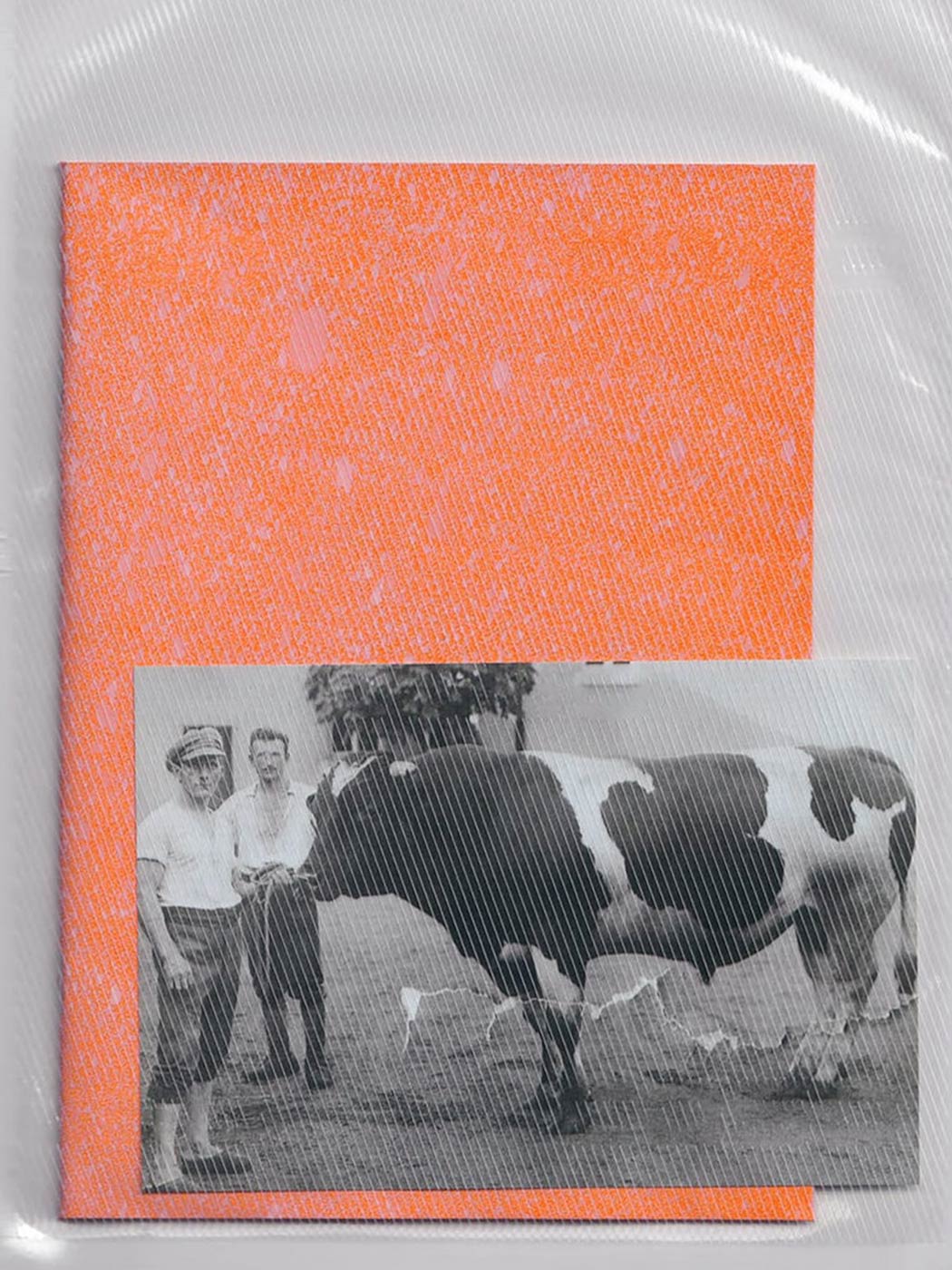 A booklet with an orange cover, surrounded by a sturdy plastic film, in front of the booklet is a contact sheet showing two young men with an ox.